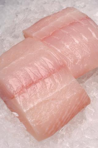 Halibut Fillet